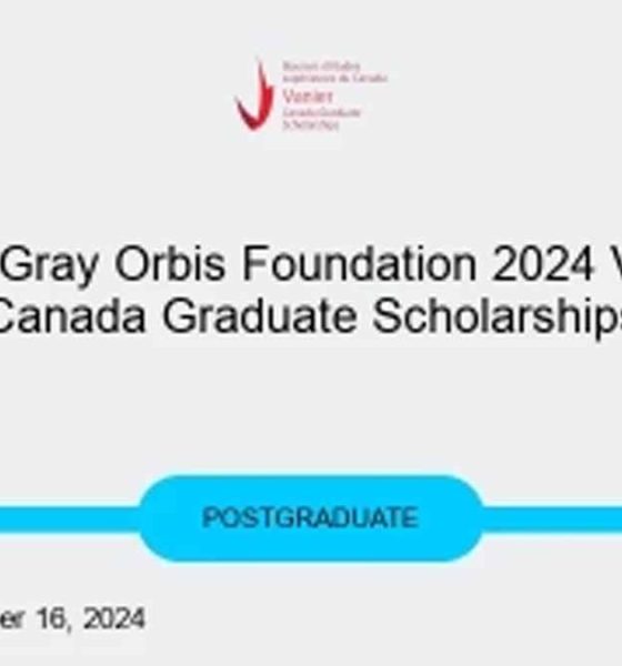 Allan Gray Orbis Foundation Vanier Canada scholarship