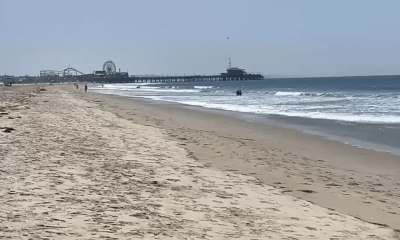 Man arrested for sexually assaulting beachgoer in Santa Monica – NBC Los Angeles