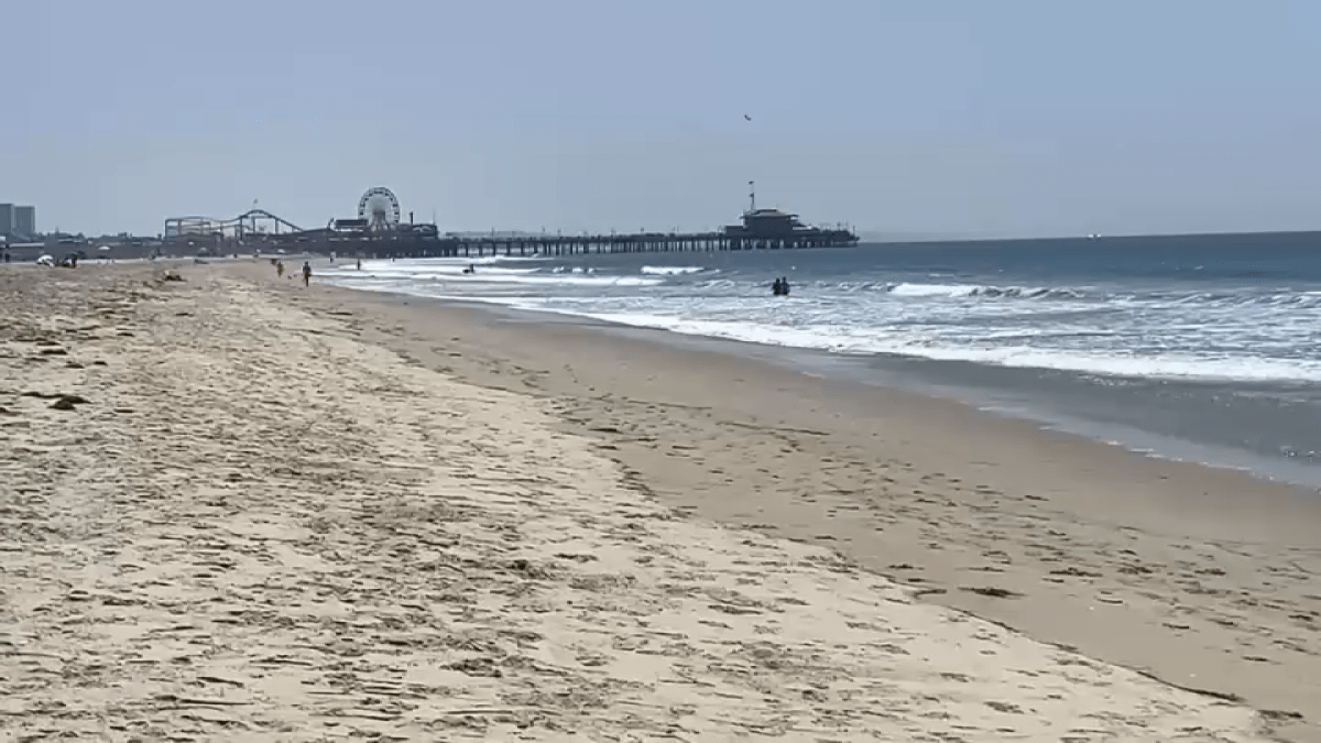 Man arrested for sexually assaulting beachgoer in Santa Monica – NBC Los Angeles