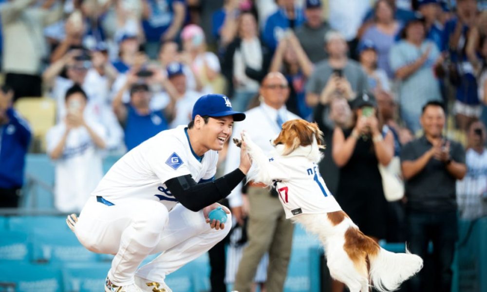 Shohei Ohtani and his dog Decoy steal the show in Dodgers 6-4 victory over Orioles – NBC Los Angeles