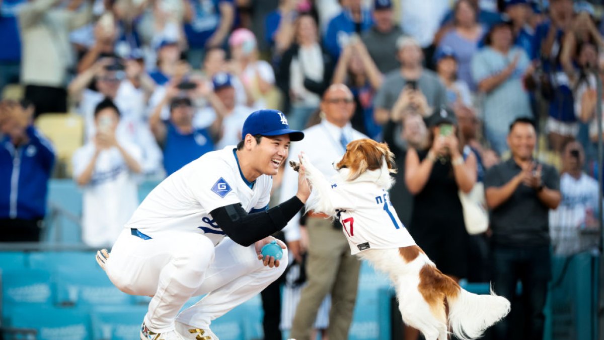 Shohei Ohtani and his dog Decoy steal the show in Dodgers 6-4 victory over Orioles – NBC Los Angeles