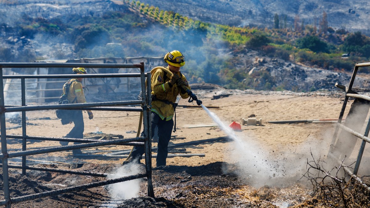 After rollover crash, nearly 20 fire crews hurt in Airport Fire – NBC Los Angeles