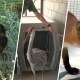 Big Bear zoo animals displaced in Line Fire return home – NBC Los Angeles