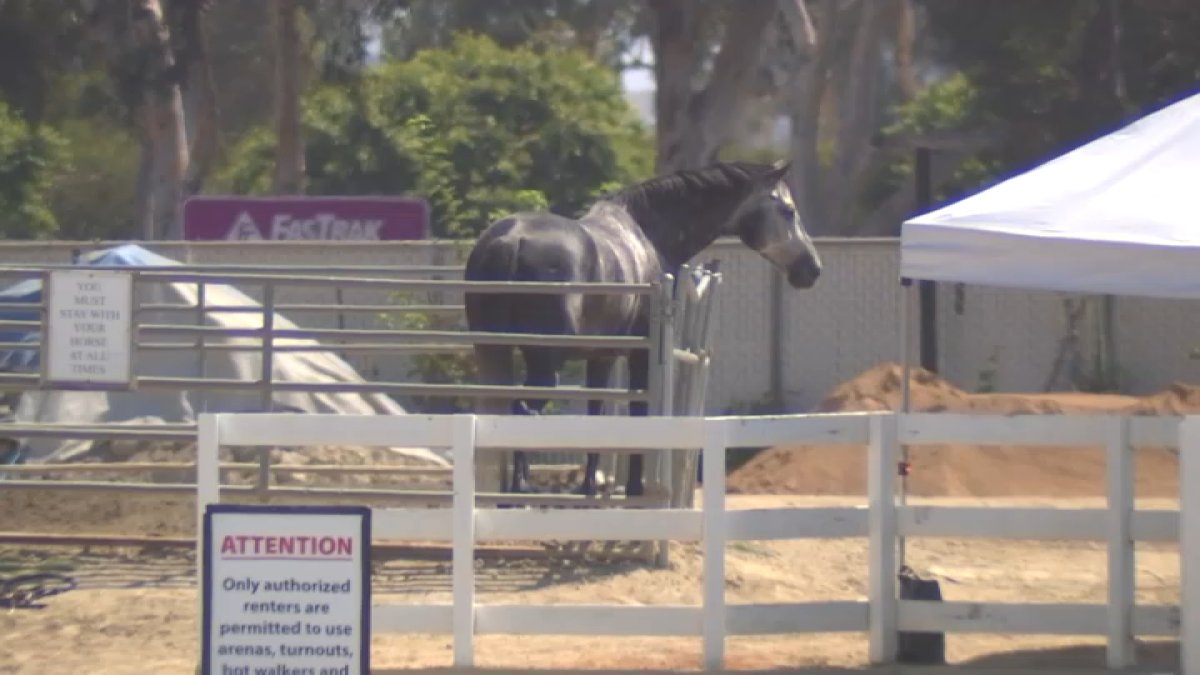 Equestrian owners sue OC Fair & Event Center over stable rental dispute – NBC Los Angeles