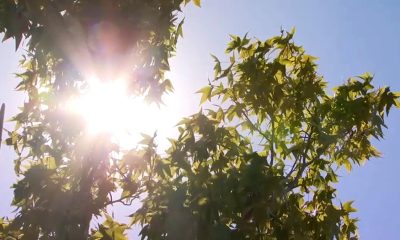 Fall is here, but experts say communities need a heat plan – NBC Los Angeles