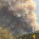 Line Fire in San Bernardino County prompts state of emergency – NBC Los Angeles