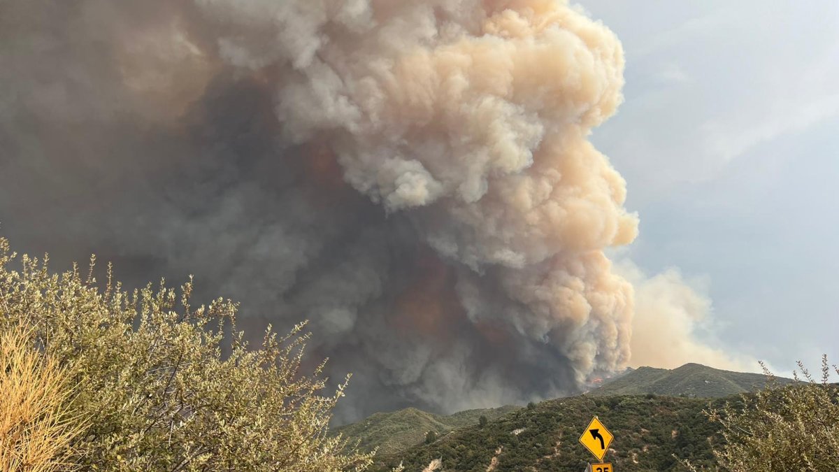 Line Fire in San Bernardino County prompts state of emergency – NBC Los Angeles