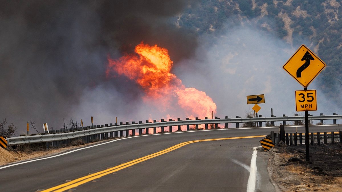 Line Fire in San Bernardino County prompts state of emergency – NBC Los Angeles