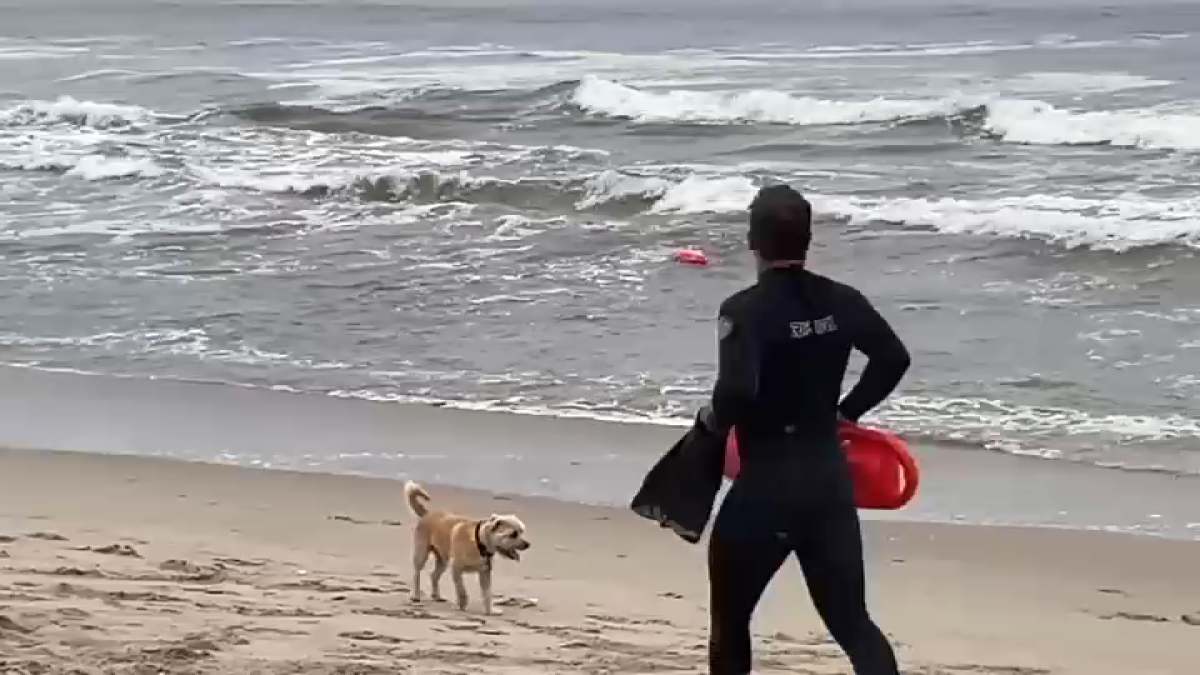 Santa Monica lifeguards lead effort to get first responder status – NBC Los Angeles