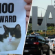 Search for cat who went missing after carrier broke at LAX – NBC Los Angeles