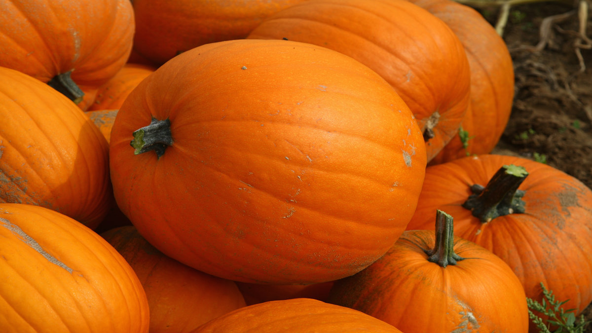 SoCal weather for first day of fall comes with warming trend – NBC Los Angeles