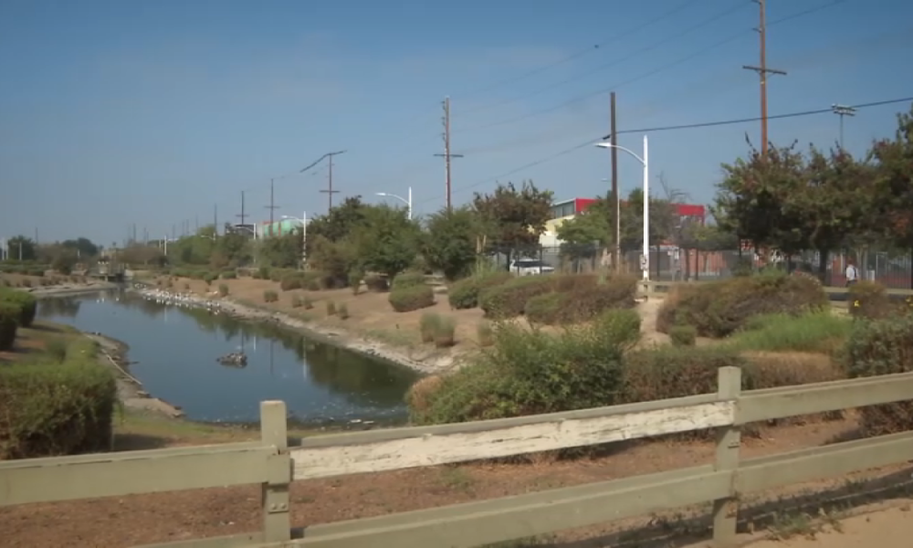 South LA community advocates for improvements at Wetlands Park – NBC Los Angeles