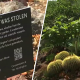 Thieves steal plants at Huntington Botanical Gardens – NBC Los Angeles