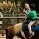 What will replace Pony Rides at Griffith Park? – NBC Los Angeles