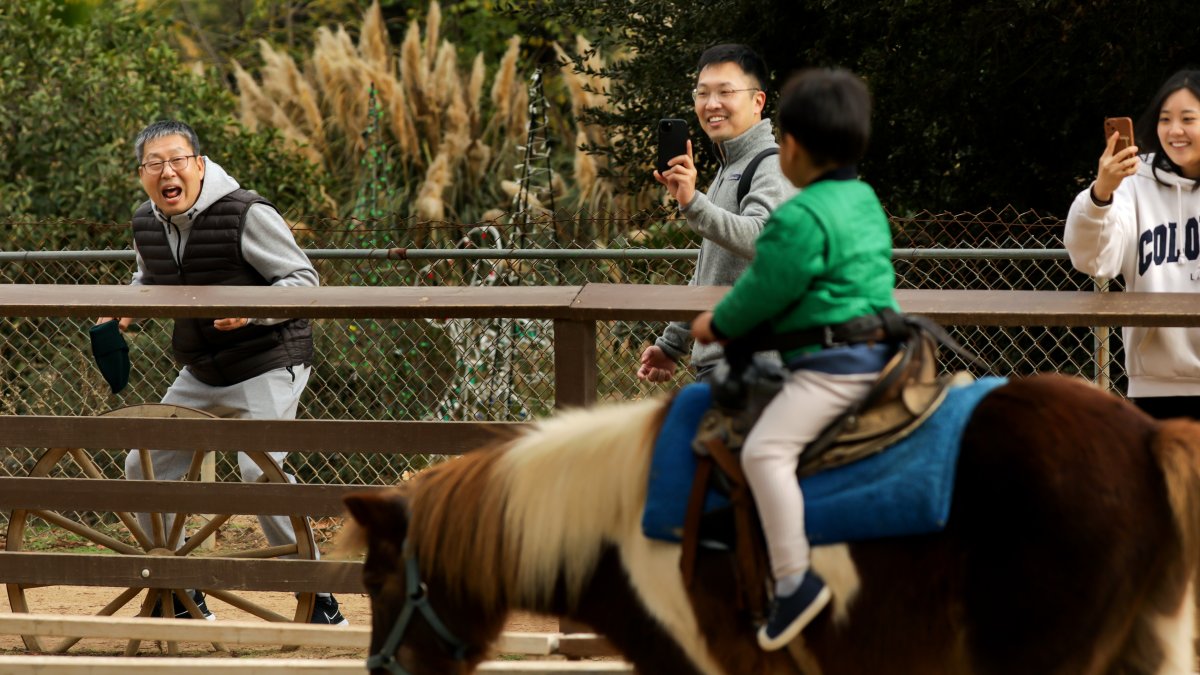 What will replace Pony Rides at Griffith Park? – NBC Los Angeles