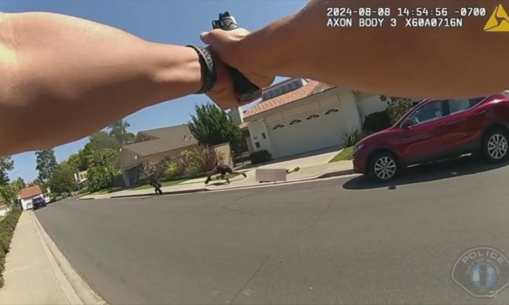 Body cam footage shows officer shooting man who stabbed mother – NBC Los Angeles