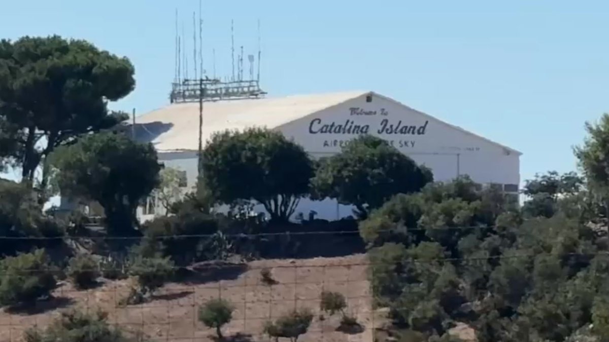 5 killed in plane crash on Catalina Island – NBC Los Angeles