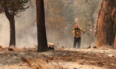 LA County to establish task forces for Bridge Fire recovery – NBC Los Angeles