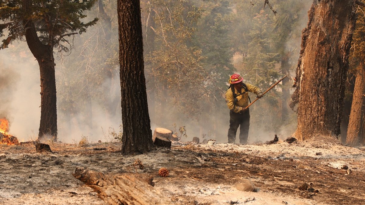 LA County to establish task forces for Bridge Fire recovery – NBC Los Angeles