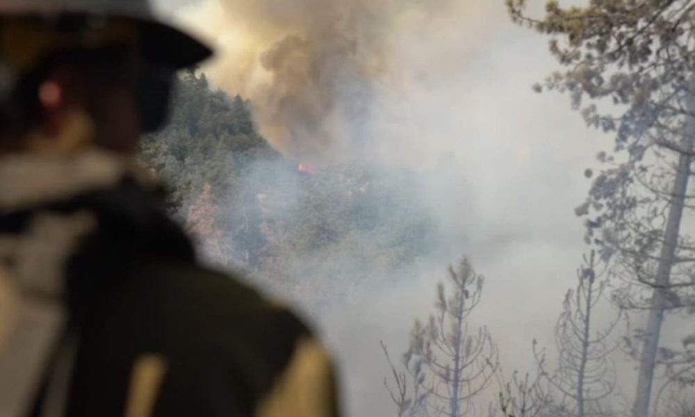 Line Fire evacuations lifted in Angelus Oaks – NBC Los Angeles