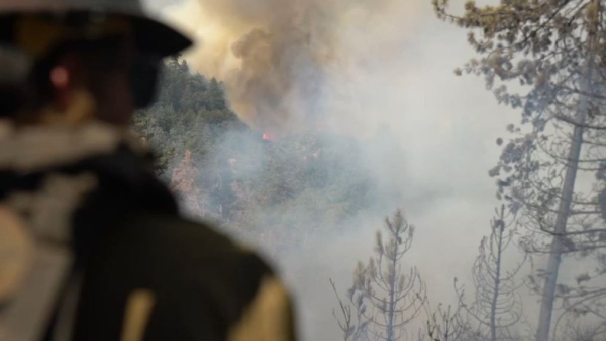 Line Fire evacuations lifted in Angelus Oaks – NBC Los Angeles