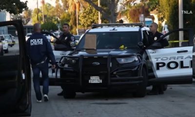 One-month-old baby dies after dog bite in Torrance – NBC Los Angeles