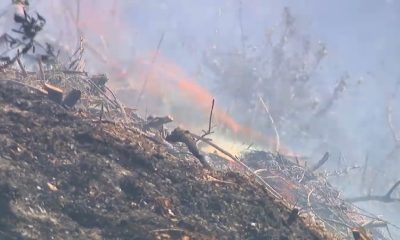 San Bernardino County Line Fire containment drops – NBC Los Angeles