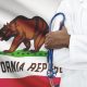 These 7 new California laws may impact your health care planning – NBC Los Angeles