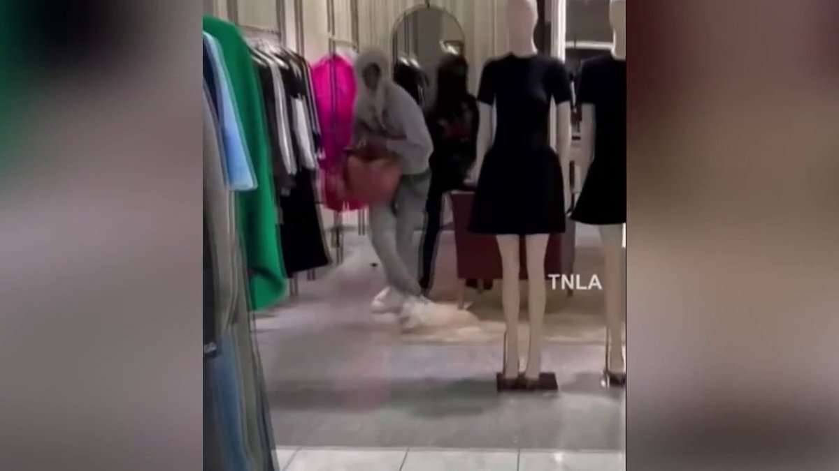 Thieves ransack Nordstrom at Westfield Topanga Mall – NBC Los Angeles