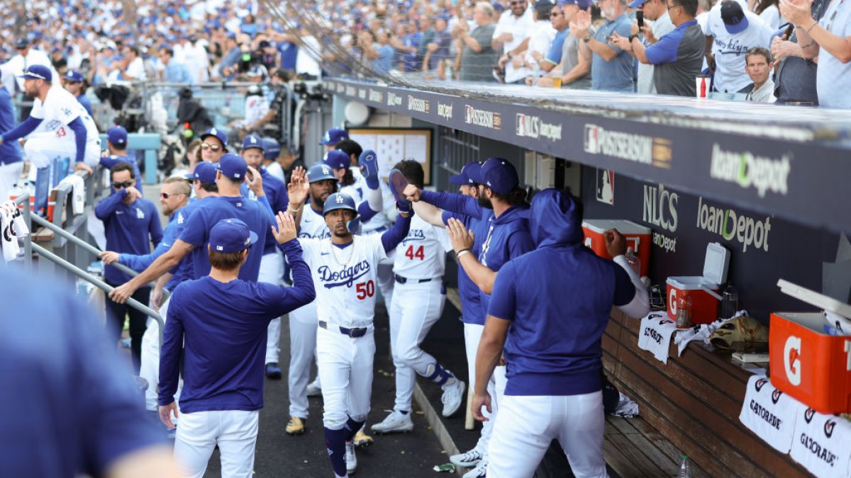 Wild snake slithers into Dodgers dugout during Game 2 of NLCS – NBC Los Angeles